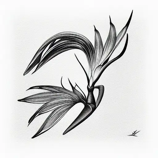 Bird of Paradise tattoo design idea