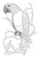 Parrot with blue tail feathers tattoo design idea