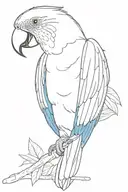 Parrot with blue tail feathers tattoo design idea