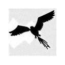 buzzard  tattoo design idea