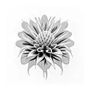 dahlia and thistle negative space blackout tattoo design idea
