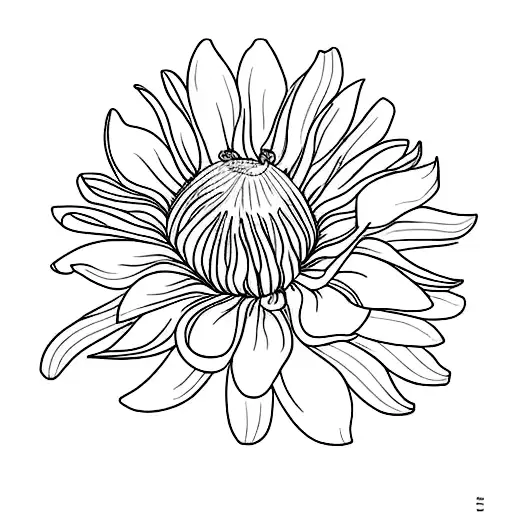chrysanthemum, daisy, peony, daffodil, morning glory  tattoo design idea