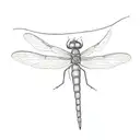 A tiny, detailed dragonfly, no larger than an inch sitting or landing on A minimalist outline of an onion or a single on tattoo design idea
