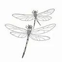 A tiny, detailed dragonfly, no larger than an inch sitting or landing on A minimalist outline of an onion or a single on tattoo design idea