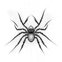 spider tattoo design idea