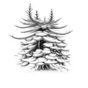 large pine tree with roots. right side of the tree to be dead with many spikes and branches left side bloosiming  tattoo design idea