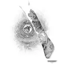 cosmere forearm sleeve tattoo design idea