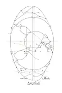 Longitude latitude text tattoo design idea
