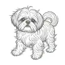 shih tzu tattoo design idea