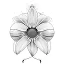daisy, morning glory, daffodil, and cosmo flower  tattoo design idea