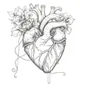 minimal thin drawing lines black and white watercolor anatomic heart with less flower detail abstract tattoo tattoo design idea