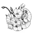 flower carnation with Daffodil, Jonquil, Carnation, Snowdrop, Gladiolus, Poppy, Rose, Honeysuckle, Aster, Morning glory  tattoo design idea