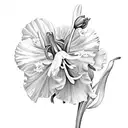 flower carnation with Daffodil, Jonquil, Carnation, Snowdrop, Gladiolus, Poppy, Rose, Honeysuckle, Aster, Morning glory  tattoo design idea