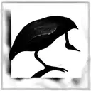 black swan  tattoo design idea