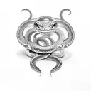 a snake that symbolizes gemini tattoo design idea