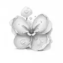 no colour Diphylleia Grayi tattoo design idea
