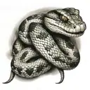 a snake biting  tattoo design idea