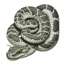 a snake biting  tattoo design idea