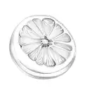 grapefruit tattoo design idea