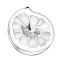 grapefruit tattoo design idea