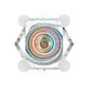 vitruvian and fibonacci and universe tattoo design idea