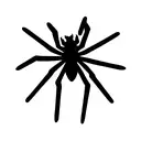 Spider tattoo design idea