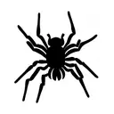 Spider tattoo design idea
