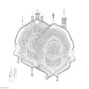 maroco berber pattern  tattoo design idea