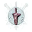 pancreas tattoo design idea