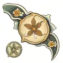 sand dollar tattoo design idea