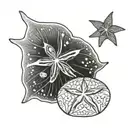 sand dollar tattoo design idea