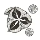 sand dollar tattoo design idea