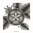 sand dollar tattoo design idea