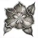 sand dollar tattoo design idea