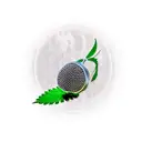 A microphone wrapped in cannabis leaves and mushrooms, with smoke forming the shape of music notes tattoo design idea