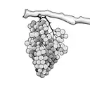 grapes tattoo design idea