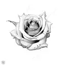 roses with spider webs tattoo design idea