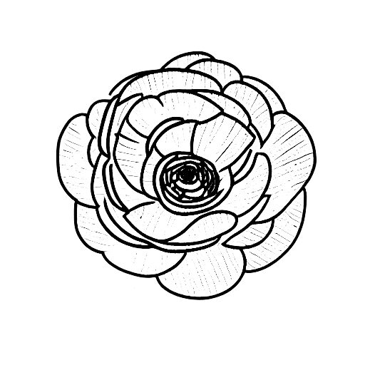 ranunculus  tattoo design idea