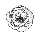 ranunculus  tattoo design idea
