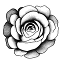 ranunculus  tattoo design idea