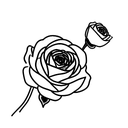ranunculus with stems tattoo design idea