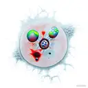 natural killer cell tattoo design idea