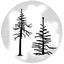 red pine tree with imperfect oval around it tattoo design idea