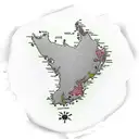 stylized map outline of New Zealand with the silver fern and kiwi at the center tattoo design idea