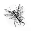  a dragon-fly and a katydid tattoo design idea