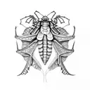 a katydid with a dragon-fly tattoo design idea