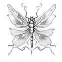 a katydid with a dragon-fly tattoo design idea