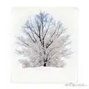 aspen tree with roots, fall colors tattoo design idea