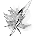 Bird of Paradise tattoo design idea
