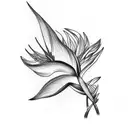 Bird of Paradise tattoo design idea